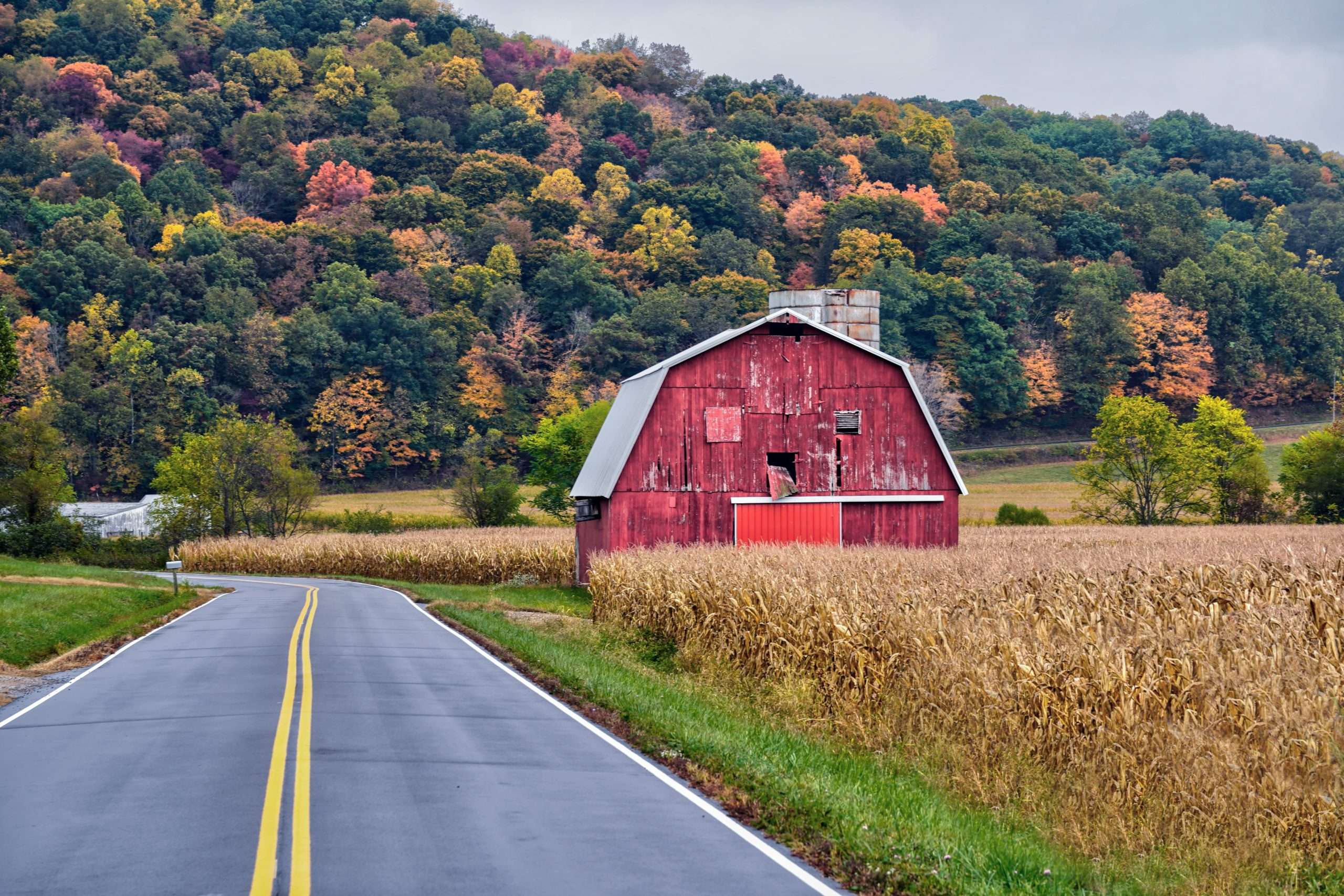 AdobeStock_385002495